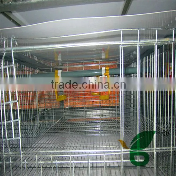 H type automatic chicken cage
