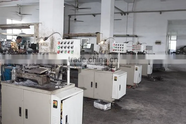 DC electric motor