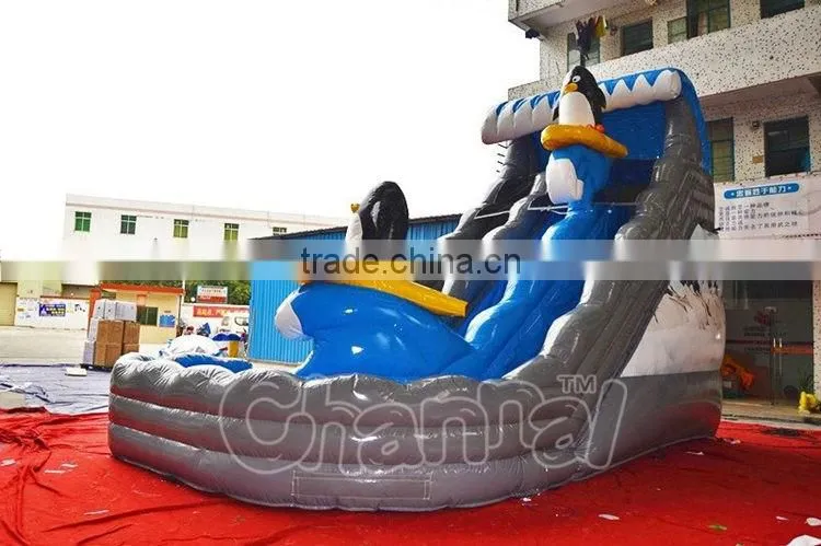 Magical sea wave inflatable water slide wih pool, commercial inflatable dolphin water slide