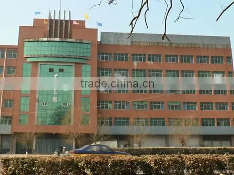 Dayu Group Co., Ltd. company overview - view 1