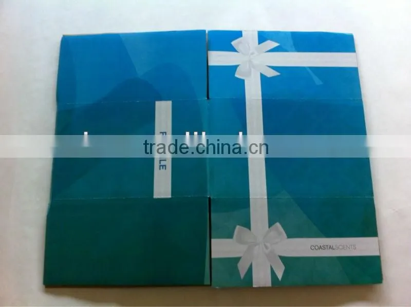ice-snow blue colour carton box for fragile merchandise