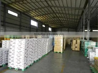 Miracle Living Enterprise Co., Ltd. company overview - view 1