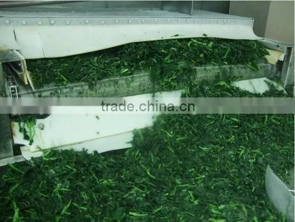IQF Fresh Spinach
