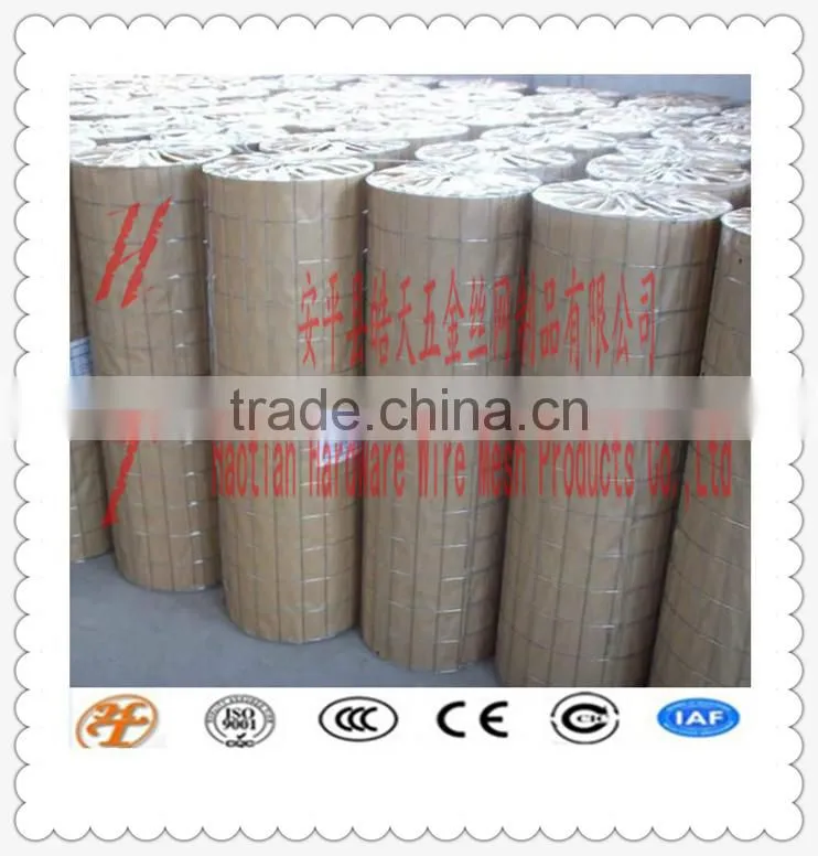 zinc/PVC coated electro/hot dipped galvanized stainless steel 304 welded wire mesh construction mesh cage welded wire mesh roll