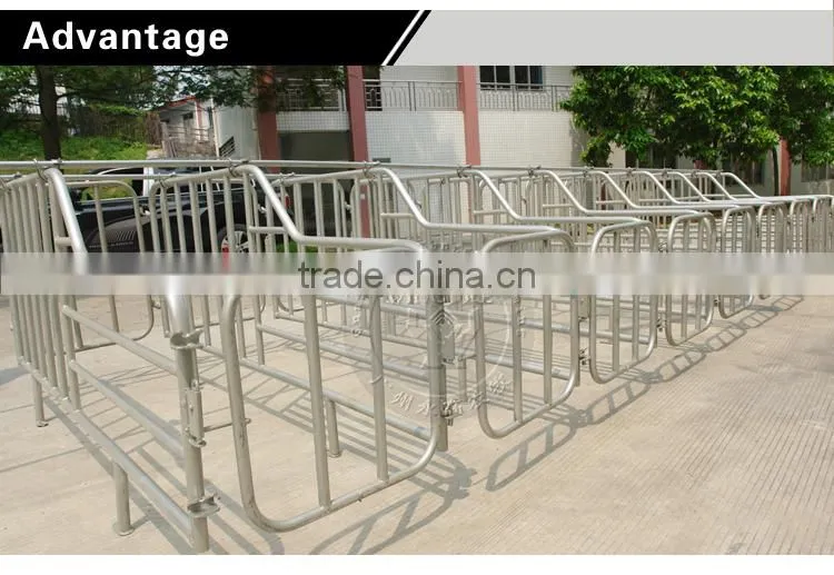 Pig Farming Equipment,Double Limiting Crate