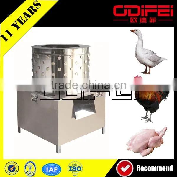Poultry Processing Profession Automatic Poultry Equipment Price
