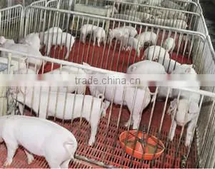 livestock plastic slat floor for pigs