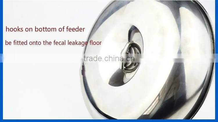 piglet feeder