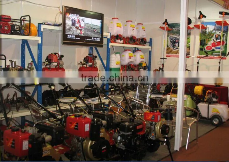 Four stroke Max. Power: 3KW Gasoline generator CY-3800(E)