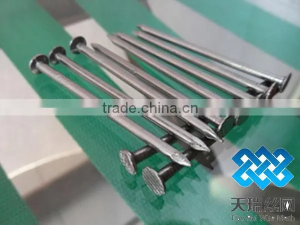 Galvanized iron nails (factory)