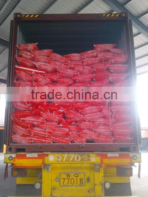 High Foam Detergent Washing Powder to dubai