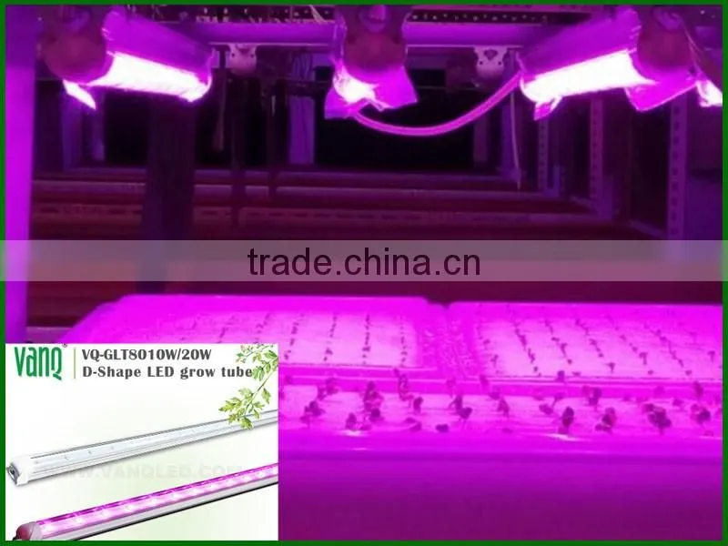 Sunlight led light/vertical farming led light/orchid seedlings grow light