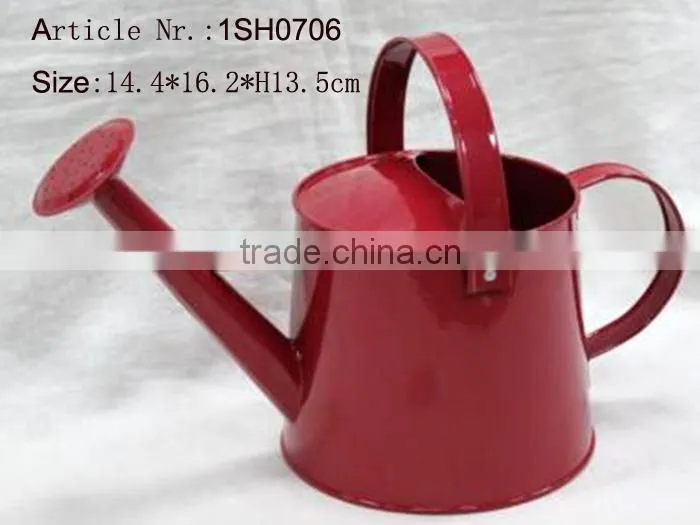 2016 Hot sale promotional metal decal water can