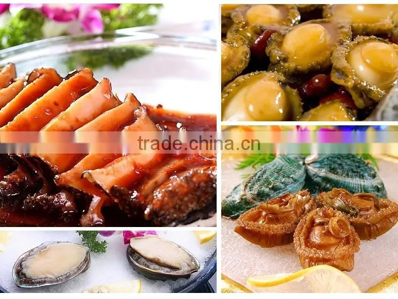 live frozen abalone in shells wholesale