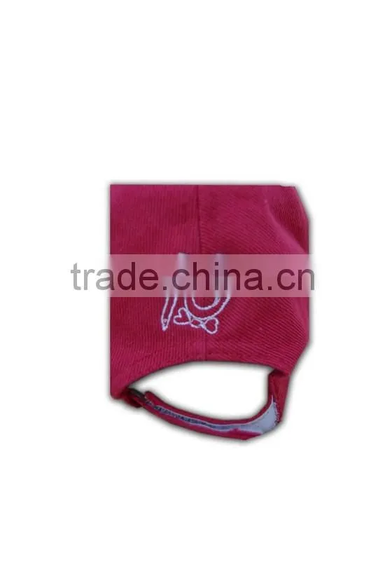 ISO9001 BSCI cap UK/AU/USA hat own design basketball trucker hats