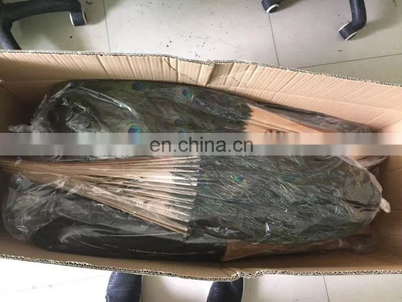 Small fan 30cm-55cm wide peacock feather fan for party