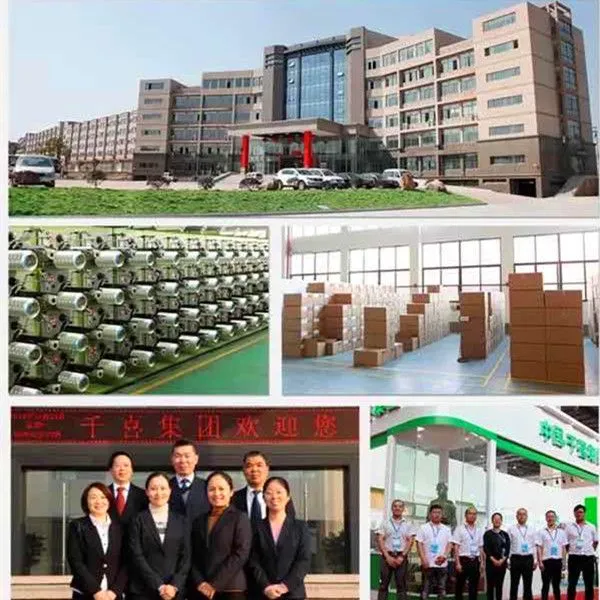 Zhejiang Qianxilong Special Fibre Company company overview - view 1