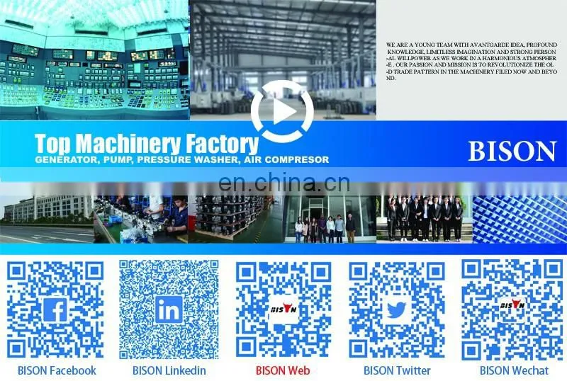 168 Gasoline Parts 170F Aluminium Alloy Generator Carburetors Pump Machinery Parts Carburetor with Oil Cup