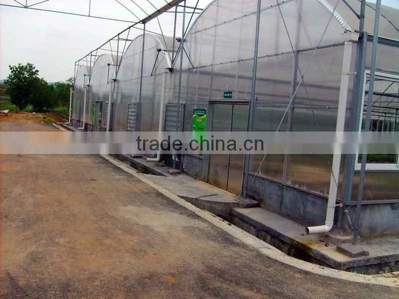 Hot Dipped Galvanized Tomato Growing Greenhouse