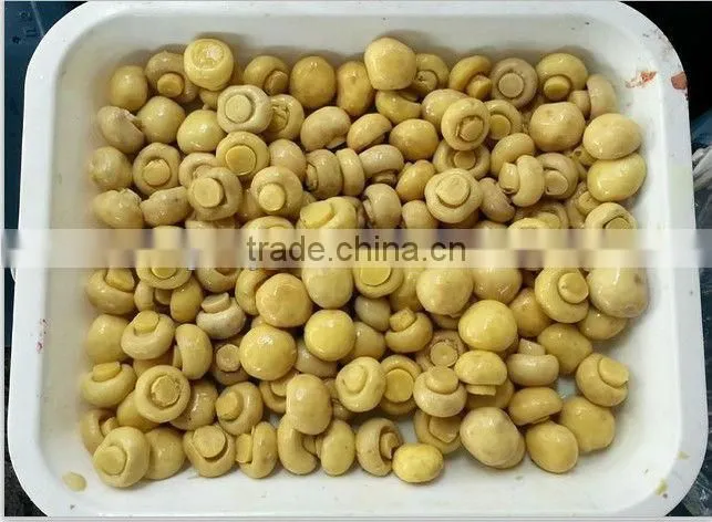 mushroom in brine in drum