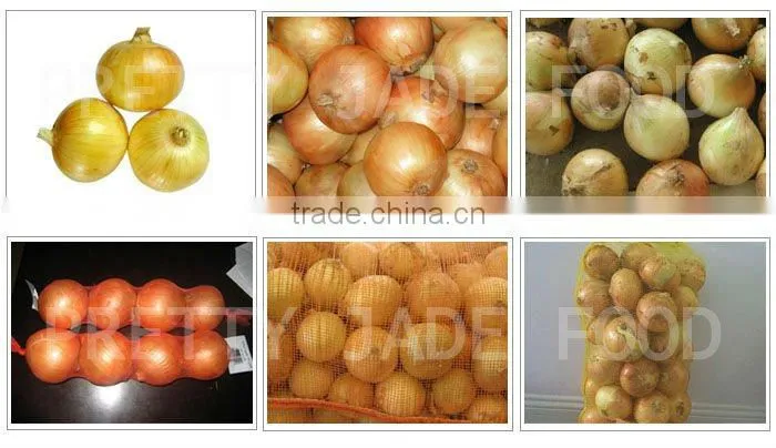 Fresh Red Onion