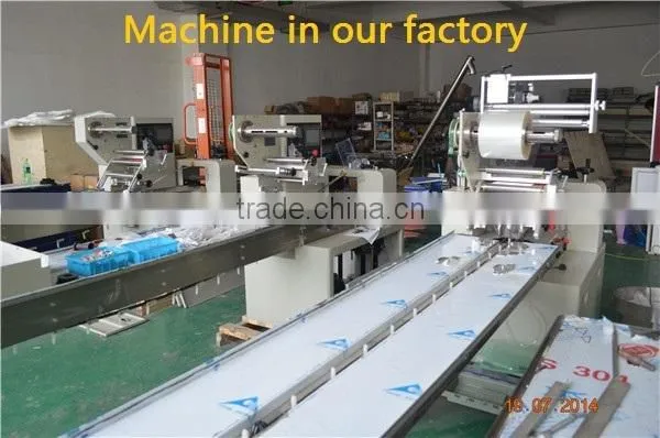 china factory YB-350 automatic pillow type idli packing machine horizontal flow/0086-18516303933