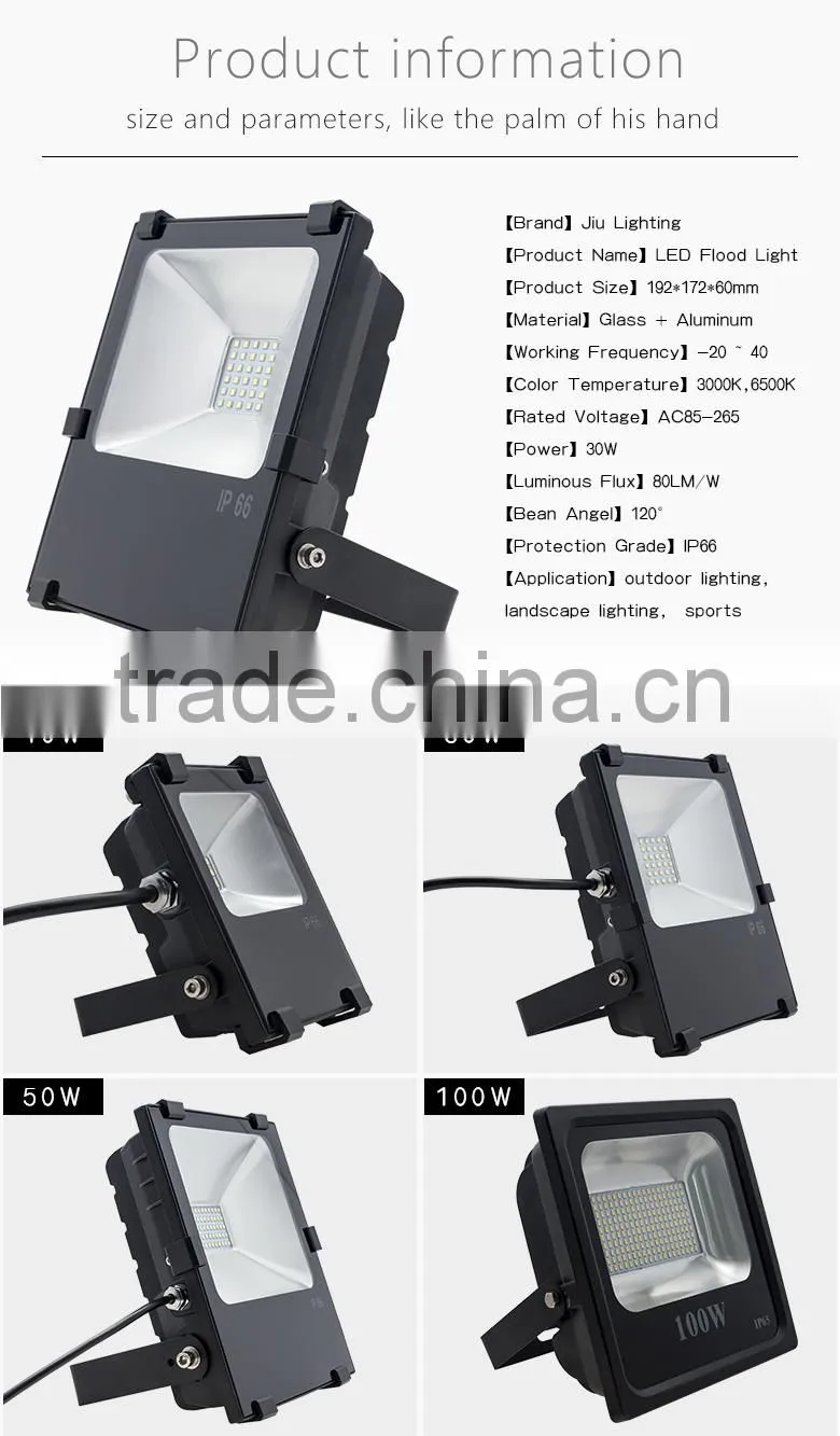 30W explosion-proof IP66 led light with CE RoHs led flood light