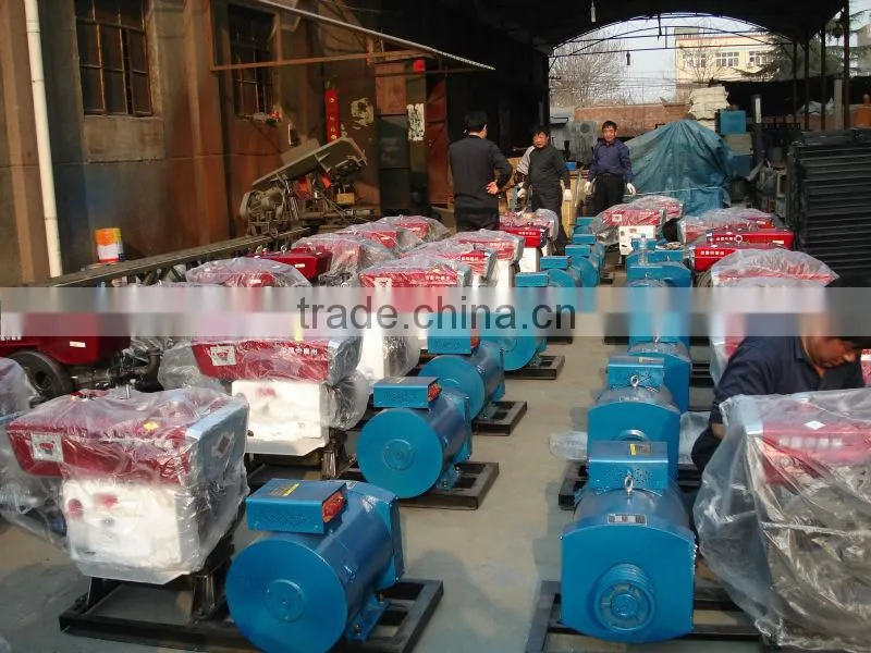 single cylinder diesel generator changchai engine 20