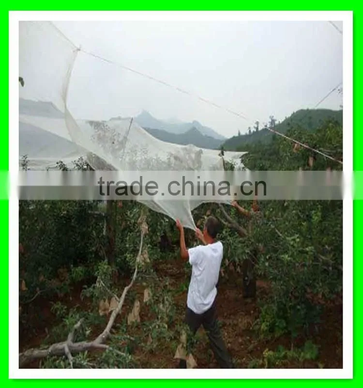 supply high quality various grape hail protection net/resist hail mesh/woven anti hail net