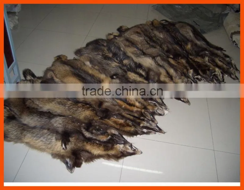 tanned raccoon fur skin