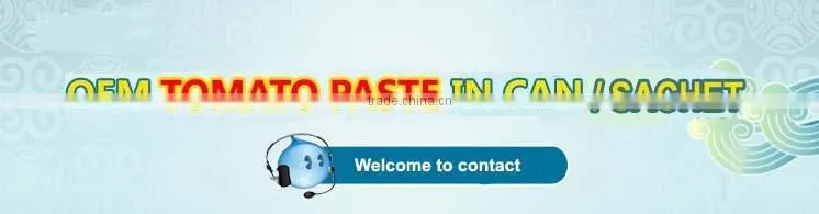 Custom Stick Label Tinned Tomato Paste, Canned Tomato Paste 800gram