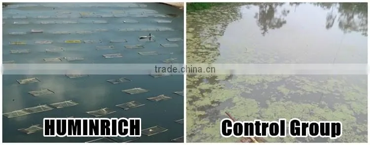 Huminrich Shenyang Soluble Sodium Humate Raw Material Animal Feed