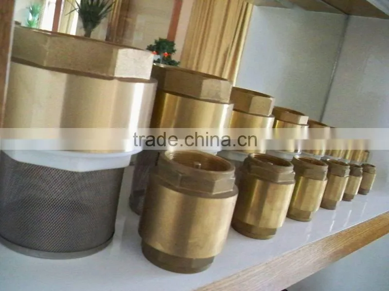 Mesh filter pre-assembly spring brass check valve