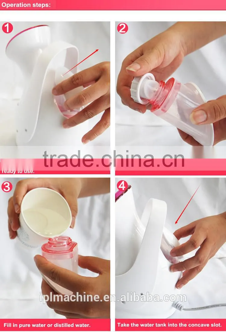 Kingdom High-Tech portable mini Skin Ion Facial Steamer