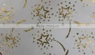 TGM-100 A5 Flat round dual-use Hot Stamping Machine