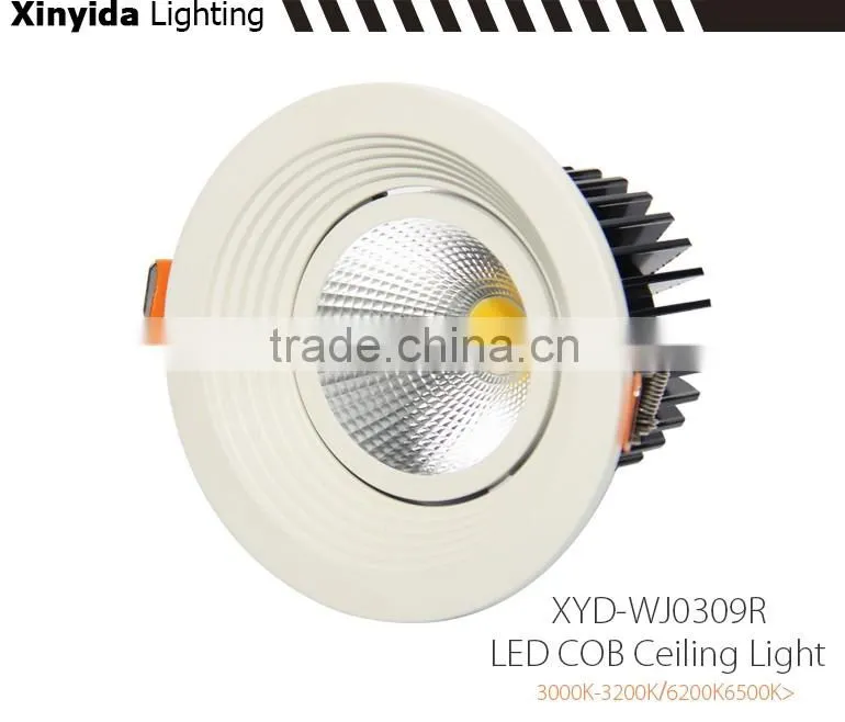 Suitable for accent lighting places office ceiling lamp