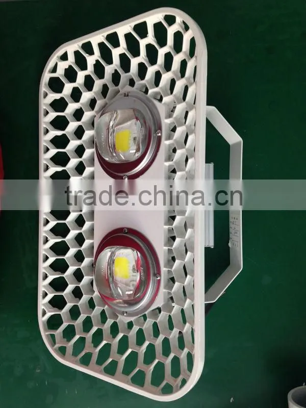 110V / 220V Input LED Flood light with Meanwell driver