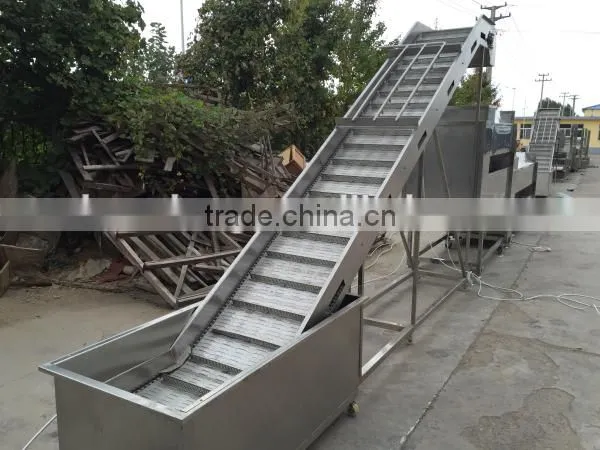full automatic production line for frozen french fries