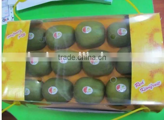 New Fresh Kiwi fruits on sale