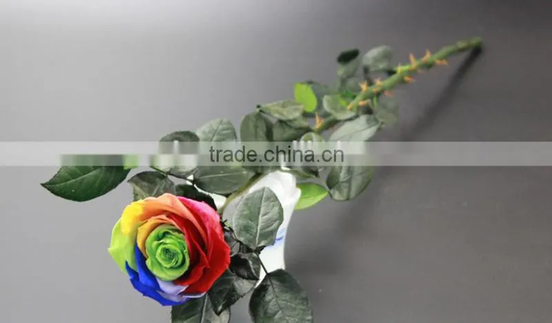 2016 Yiwu Aimee wholesale dubai importers hotsale preserved fresh flower(AM-PF03)