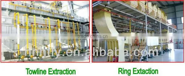 China most advenced technolgoy sesame oil extraction equipment