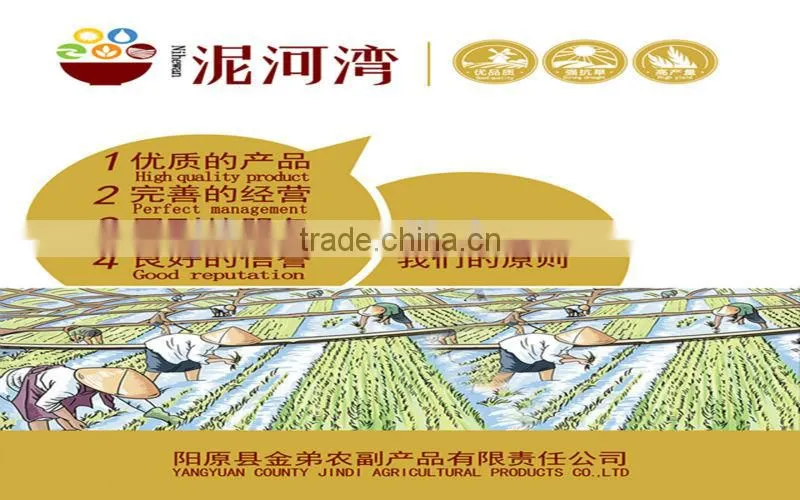 zhangjiakou Origin bitter apricot kernel for sale