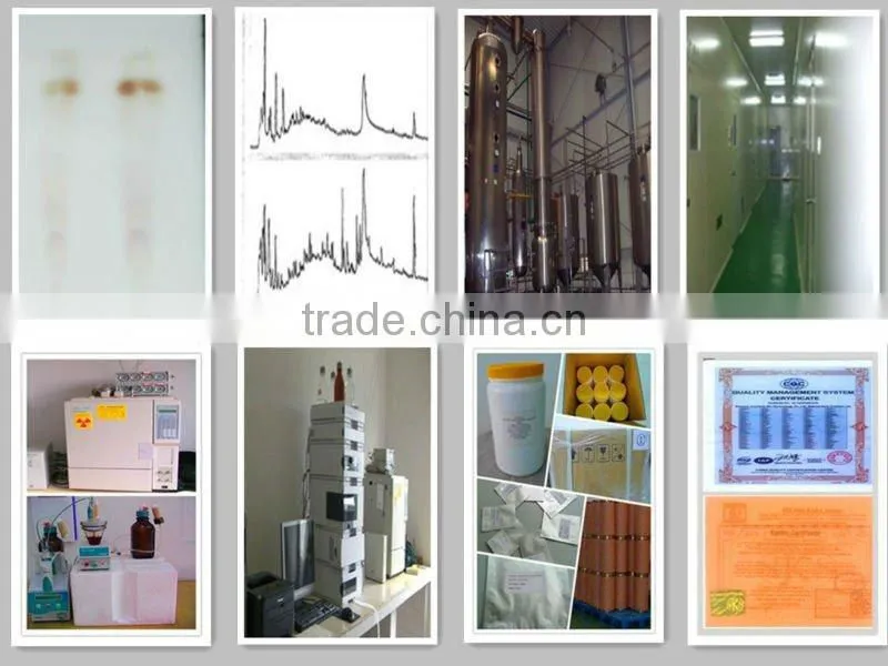 Grape Seed Extract Powder