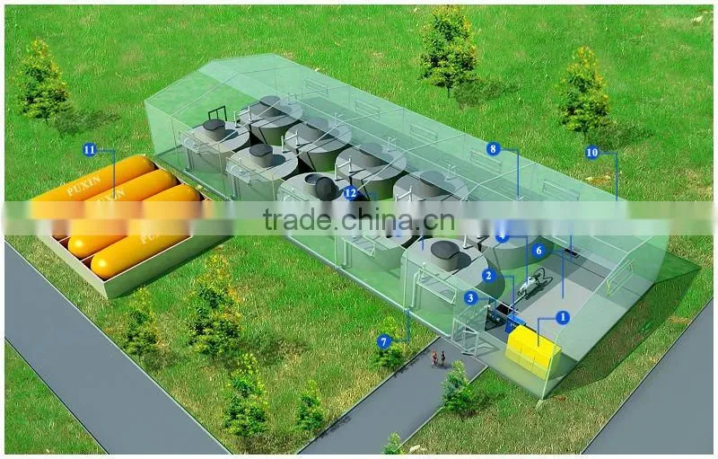 Puxin 100m3 biogas digester for power