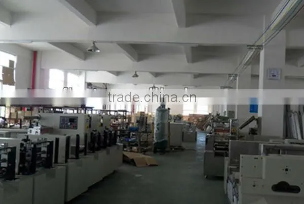 automatic snack wrapping machine
