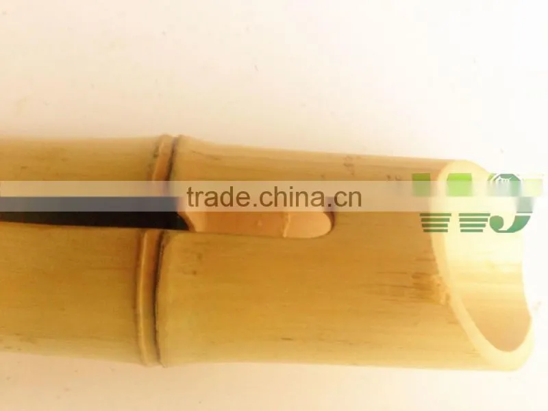 WY-187 Flexiable high quality natural fashion bamboo speaker box and bamboo sound for ipone plus