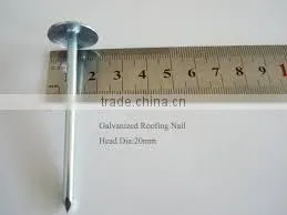 3inches rubber washer roofing nails for India market
