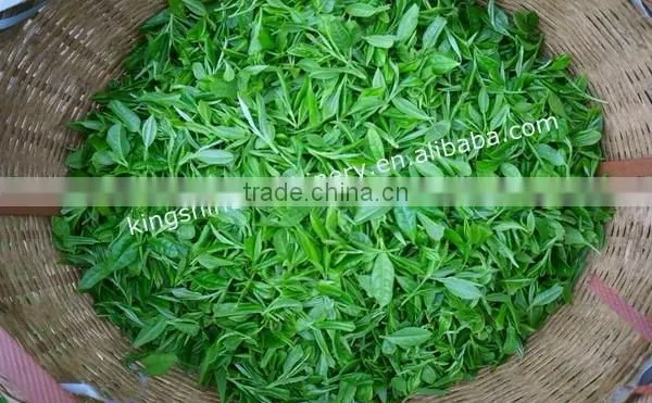 Great cleaning efficiency--Tea cleaner/ tea leaf cleaning machine for sale
