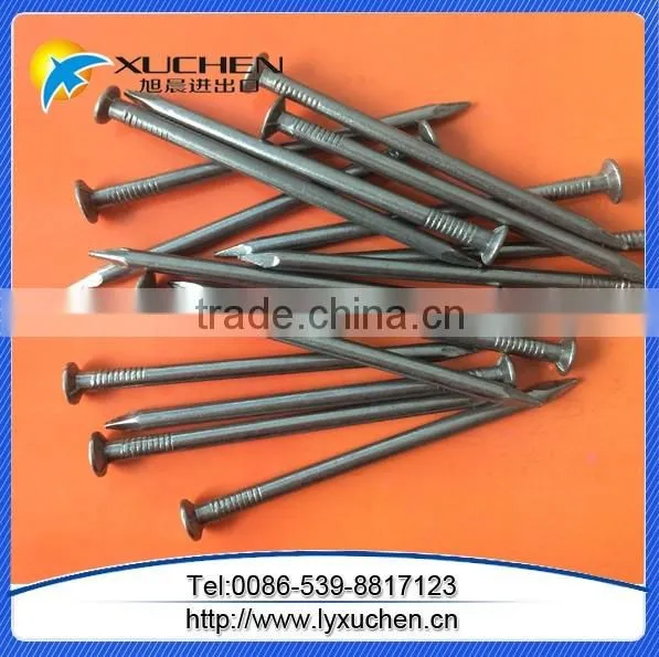 Galvanized common nail/common iron nail factory manufacturer in China