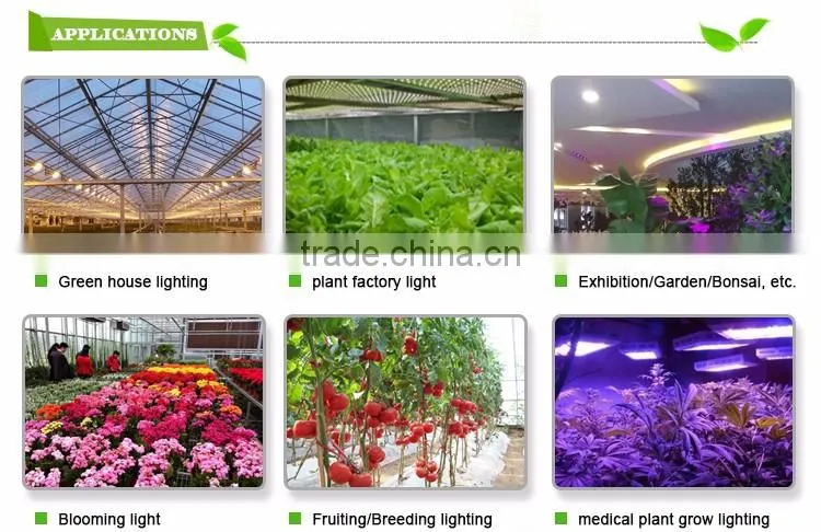 Super quality brightness saving energy waterproof led grow light